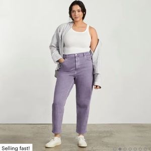 Everlane | Way High Jean Size 26 Long Archroma Day Break